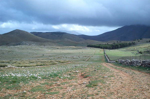 sentiero bosco scardina